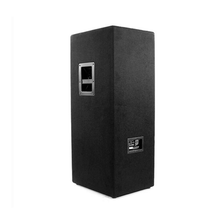 Load image into Gallery viewer, JBL JRX225 Dual 15 inch Two-Way Sound Reinforcement Loudspeaker System - All.This.Sound