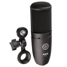 Load image into Gallery viewer, AKG P120 High-performance General Purpose Recording Microphone
