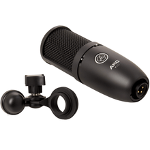 Load image into Gallery viewer, AKG P120 High-performance General Purpose Recording Microphone