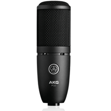 Load image into Gallery viewer, AKG P120 High-performance General Purpose Recording Microphone