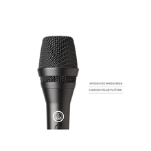 Load image into Gallery viewer, AKG P3S High-performance Dynamic Microphone with on/off Switch