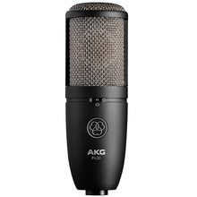 Load image into Gallery viewer, AKG P420 High-performance Dual-capsule True Condenser Microphone