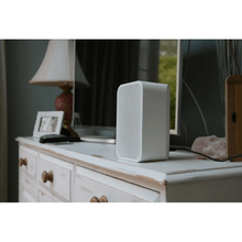 Load image into Gallery viewer, Bluesound PULSE FLEX 2i Portable Wireless Bluetooth Multi-Room Streaming Speaker (Each)