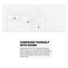 Load image into Gallery viewer, Bluesound PULSE FLEX 2i Portable Wireless Bluetooth Multi-Room Streaming Speaker (Each)