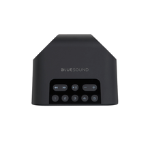 Load image into Gallery viewer, Bluesound PULSE FLEX 2i Portable Wireless Bluetooth Multi-Room Streaming Speaker (Each)