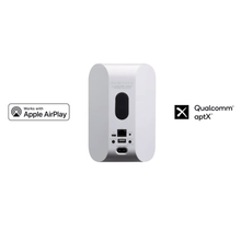 Load image into Gallery viewer, Bluesound PULSE FLEX 2i Portable Wireless Bluetooth Multi-Room Streaming Speaker (Each)