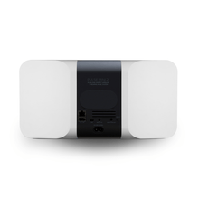 Load image into Gallery viewer, Bluesound PULSE MINI 2i Portable Wireless Bluetooth Multi-Room Streaming Speaker (Each)