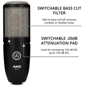 AKG P220 High-performance Large Diaphragm True Condenser Microphone