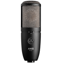 Load image into Gallery viewer, AKG P420 High-performance Dual-capsule True Condenser Microphone
