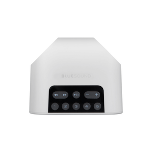 Bluesound PULSE FLEX 2i Portable Wireless Bluetooth Multi-Room Streaming Speaker (Each)
