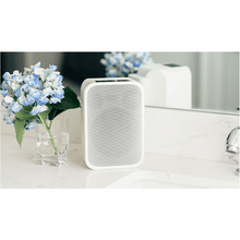 Load image into Gallery viewer, Bluesound PULSE FLEX 2i Portable Wireless Bluetooth Multi-Room Streaming Speaker (Each)
