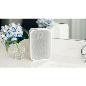 Bluesound PULSE FLEX 2i Portable Wireless Bluetooth Multi-Room Streaming Speaker (Each)