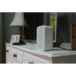 Bluesound PULSE FLEX 2i Portable Wireless Bluetooth Multi-Room Streaming Speaker (Each)
