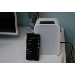 Bluesound PULSE FLEX 2i Portable Wireless Bluetooth Multi-Room Streaming Speaker (Each)