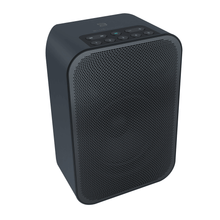 Load image into Gallery viewer, Bluesound PULSE FLEX 2i Portable Wireless Bluetooth Multi-Room Streaming Speaker (Each)
