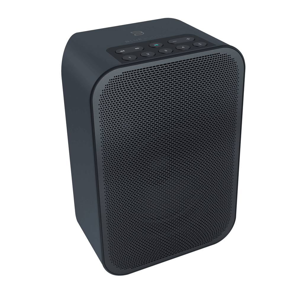 Bluesound PULSE FLEX 2i Portable Wireless Bluetooth Multi-Room Streaming Speaker (Each)