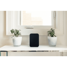 Load image into Gallery viewer, Bluesound PULSE FLEX 2i Portable Wireless Bluetooth Multi-Room Streaming Speaker (Each)

