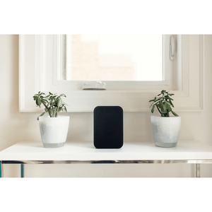 Bluesound PULSE FLEX 2i Portable Wireless Bluetooth Multi-Room Streaming Speaker (Each)