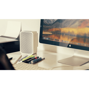 Bluesound PULSE FLEX 2i Portable Wireless Bluetooth Multi-Room Streaming Speaker (Each)