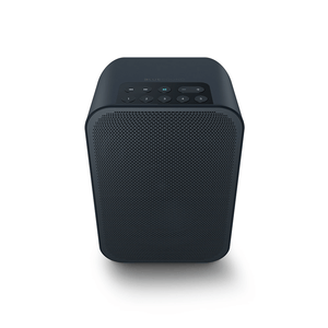 Bluesound PULSE FLEX 2i Portable Wireless Bluetooth Multi-Room Streaming Speaker (Each)
