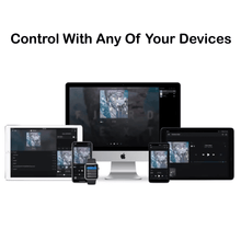 Load image into Gallery viewer, Bluesound PULSE 2i Portable Wireless Bluetooth Multi-Room Streaming Speaker (Each)
