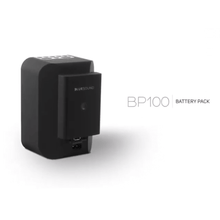 Load image into Gallery viewer, Bluesound PULSE FLEX 2i Portable Wireless Bluetooth Multi-Room Streaming Speaker (Each)
