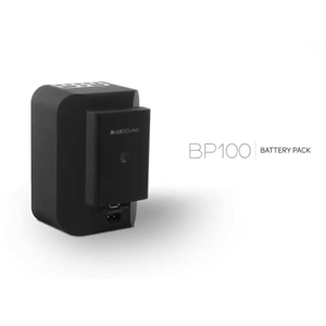 Bluesound PULSE FLEX 2i Portable Wireless Bluetooth Multi-Room Streaming Speaker (Each)