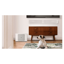 Load image into Gallery viewer, Bluesound PULSE SUB+ Wireless Powered Subwoofer Sound System
