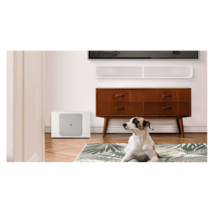 Bluesound PULSE SUB+ Wireless Powered Subwoofer Sound System