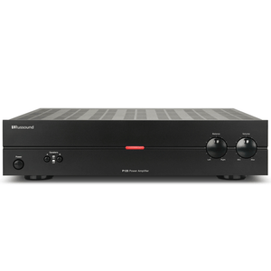 Russound P125 ~ 2 Channels (125W), Dual Source Amplifier - All.This.Sound
