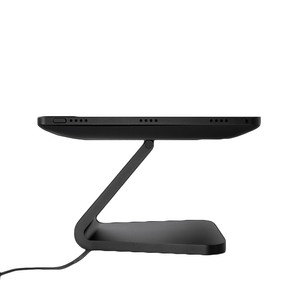 iPort LUXE Kiosk System
